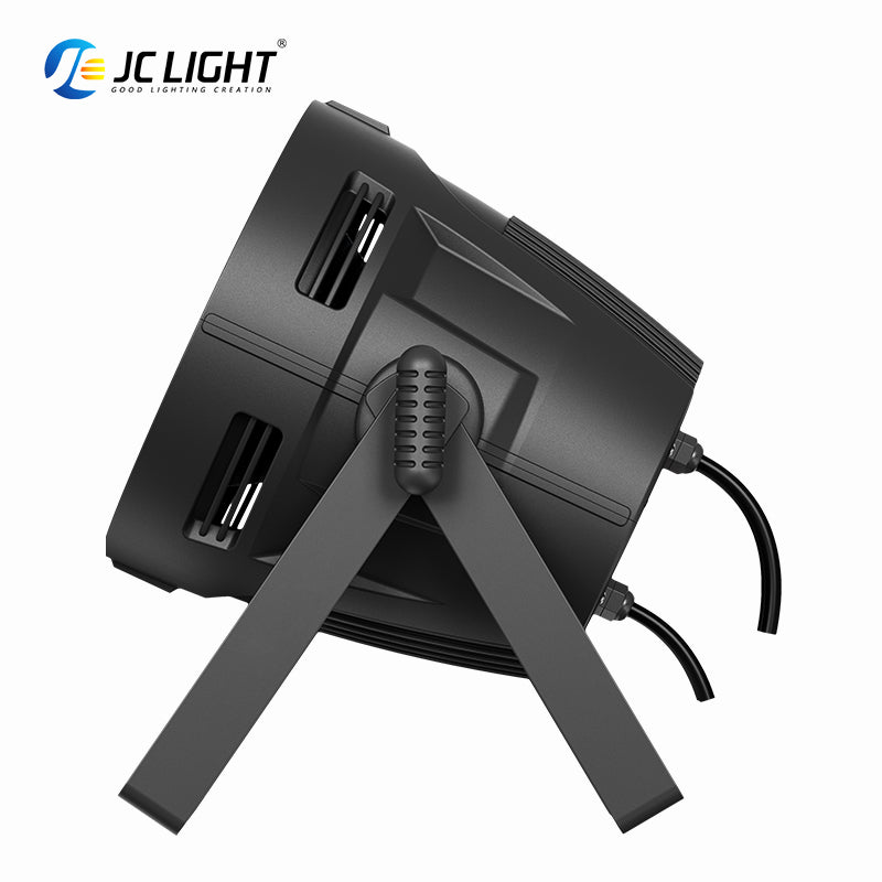 18PCS LED PAR LIGHT (UNIQUE PRIVATE MODEL)