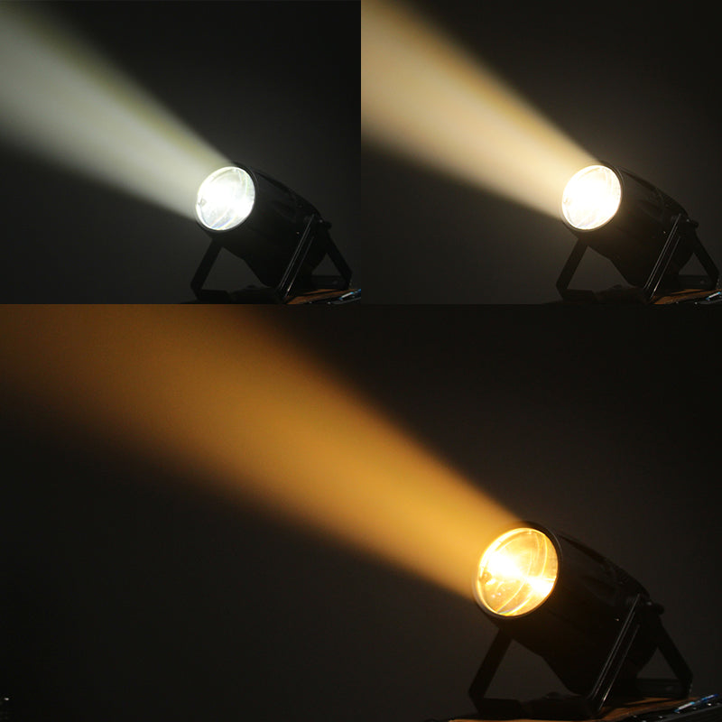 Waterproof Zoom COB Par Light